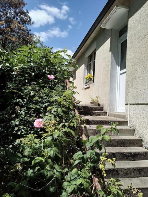 Maison De Village En Bord De Riviere Narcy Bagian luar foto