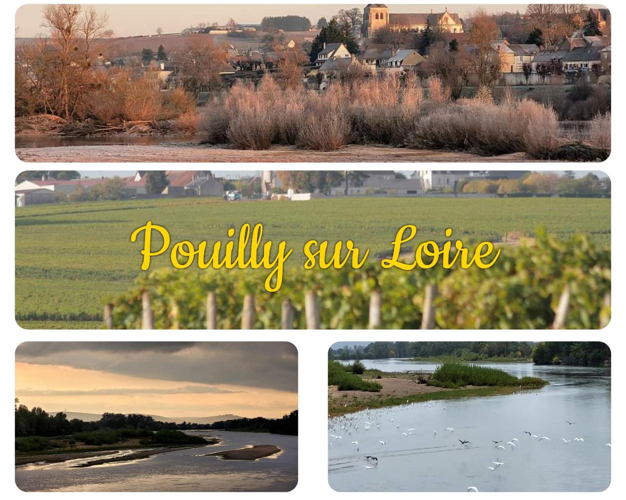 Maison De Village En Bord De Riviere Narcy Bagian luar foto